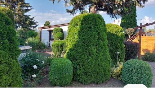 Foto - Grundst&uuml;ck in Wanzleben-Börde zur Miete