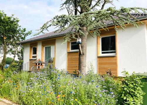 Foto - Ferienhaus Urwald, 2-8 Pers., 3 SZ, 2 Bäder, Sauna, Ferienwohnung