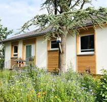 Ferienhaus Urwald, 2-8 Pers., 3 SZ, 2 Bäder, Sauna, Ferienwohnung - Hofgeismar