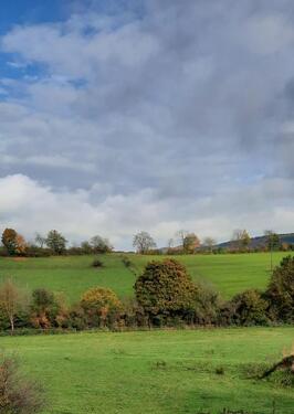 Foto - 3ZKB Balkon Idylle pur Aussichtslage Hofanlage ,gute Anbindung
