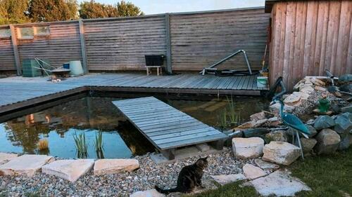 Foto - Einfamilienhaus in Senden zum Kaufen