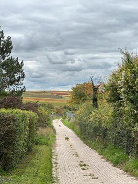 Foto - Wohnung in Dolgesheim zu vermieten
