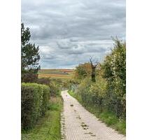 Wohnung in Dolgesheim zu vermieten - Mommenheim