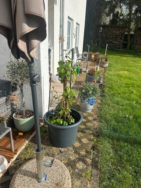 Foto - 3 Zimmer Etagenwohnung in Mommenheim