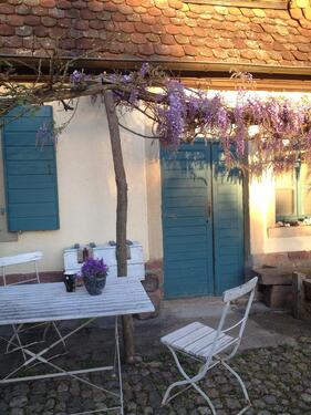 Foto - 5 Zimmer Etagenwohnung in Breisach am Rhein