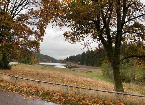 Foto - 2 Zimmer Bungalow zum Kaufen in Arnstadt