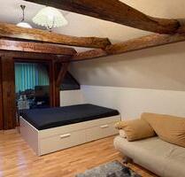 Charmante 1 ZKB Wohnung mit Gäste WC und großem Balkon, ab Jan 27 - Hann. Münden