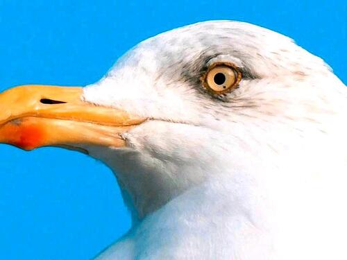 Foto - andere in Boltenhagen