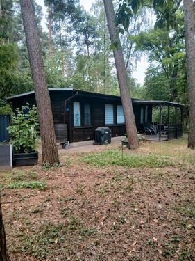 Foto - Wochenendgrundstück mit Holzhaus im Grünen – sofort verfügbar