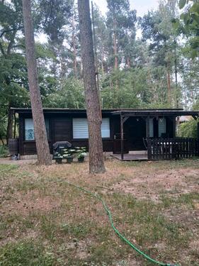 Foto - Bungalow zum Kaufen in Bad Düben