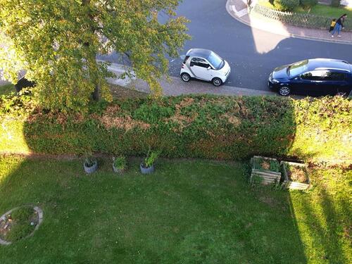 Foto - 2 Zimmer Dachgeschoßwohnung zur Miete in Steinau an der Straße