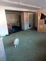 Foto - LadenlokalLager - 300,00 EUR Kaltmiete,