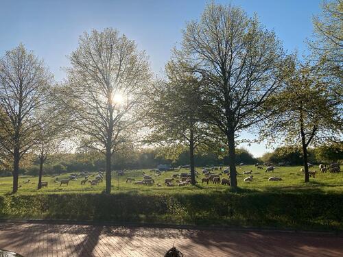 Foto - 5 Zimmer Einfamilienhaus zum Kaufen in Hannover