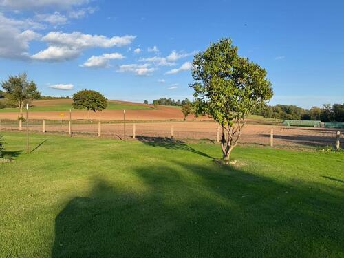 Foto - Einfamilienhaus in Walkenried zum Kaufen