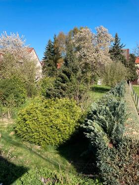 Foto - 3.5 Zimmer Einfamilienhaus zur Miete in Eschwege