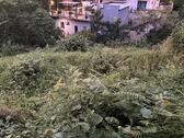 Foto - Grundstück in Georgien Batumi 10 min 250$ m*
