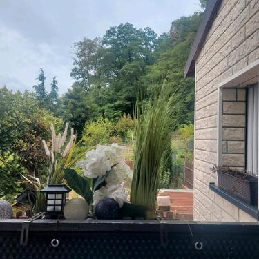 Foto - Wohnung zu vermieten mit Garten und Hundehaltung( alle Rassen)