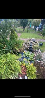 Foto - Kleingarten in Wriezen- mit Fischteich