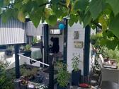 Foto - 3 Zimmer Einfamilienhaus zum Kaufen in Dorsten