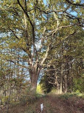 Foto - 345,00 EUR Kaltmiete, ca.  60,00 m²