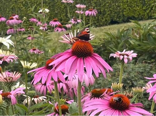 Foto - Wohnwagen Plätze drei Stück - 80,00&nbsp;EUR Miete,