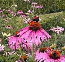 Wohnwagen Plätze drei Stück - 80,00&nbsp;EUR Miete, in Altenstadt (PLZ: 63674)