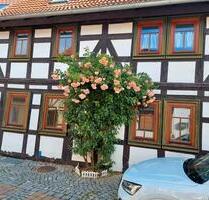 Einfamilienhaus - 84.000,00&nbsp;EUR Kaufpreis, ca.&nbsp; 140,00&nbsp;m&sup2; in Heringen/Helme (PLZ: 99765)