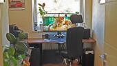 Foto - Etagenwohnung in Dinslaken zum Kaufen