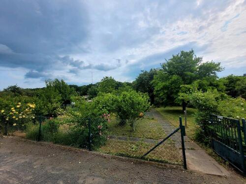 Foto - Grundst&uuml;ck in Hildesheim zur Miete