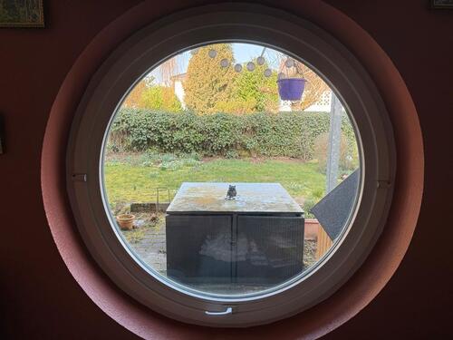 Foto - Erdgeschoßwohnung in Friedrichsdorf zur Miete