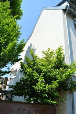 Foto - 2 Zimmer-Wohnung - vollmöbliert