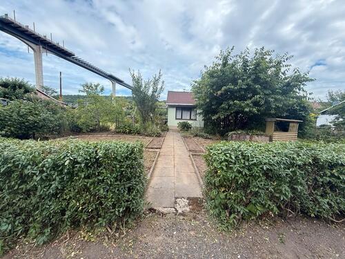 Foto - Garten abzugeben in KGV in Pirna