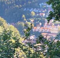 3 Zimmer Wohnung möbliert - 850,00&nbsp;EUR Kaltmiete, ca.&nbsp; 84,00&nbsp;m&sup2; in Triberg im Schwarzwald (PLZ: 78098)