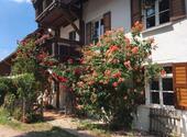 Foto - Wunderschöne 4 Zi.Wohnung im Landkreis Starnberg zu verkaufen