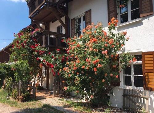 Foto - Wunderschöne 4 Zi.Wohnung im Landkreis Starnberg zu verkaufen