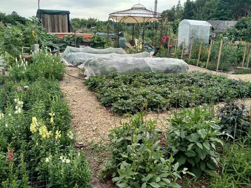 Foto - Kleingarten abzugeben - 2.000,00 EUR Kaltmiete, ca.  0,00 m²