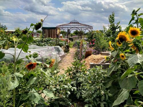 Foto - Grundstück zur Miete in Dresden