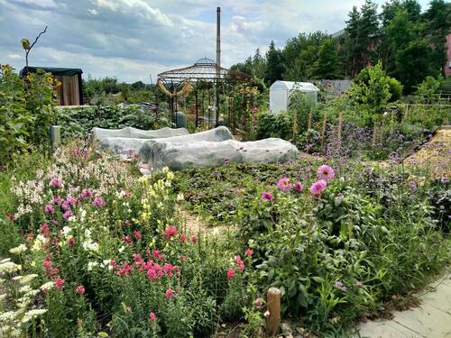 Foto - Grundstück in Dresden