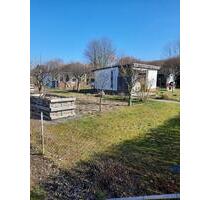 Garten in Stralsund Voigdehagen - Prohn