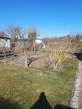 Foto - Grundst&uuml;ck in Prohn