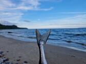 Foto - andere in Dranske zur Miete