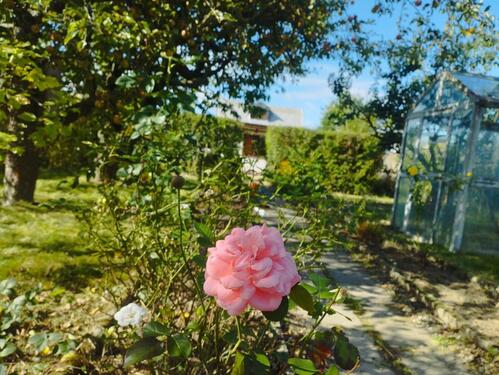 Foto - Kleingarten in Taucha Süd e.V. - 2.500,00 EUR Kaltmiete, ca.  0,00 m²