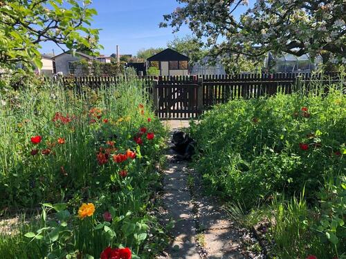 Foto - Grundstück zur Miete in Taucha