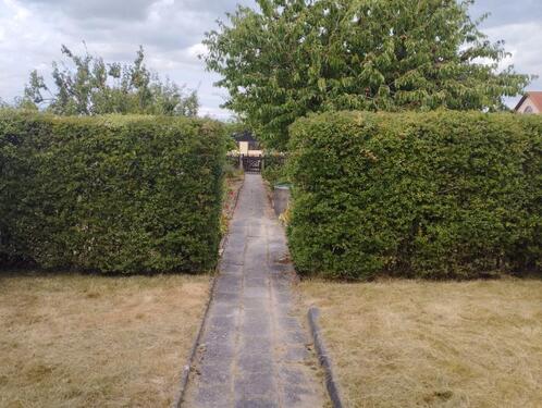 Foto - Grundstück in Taucha