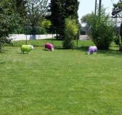 Foto - Etagenwohnung in Dortmund