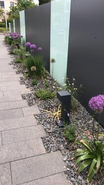 Foto - 7 Zimmer Doppelhaushälfte in Paderborn