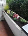 Foto - Gemütliche Wohnung in perfekter Lage