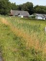 Foto - Resthof mit Koppel und Pferdestall