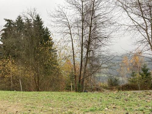 Foto - Einfamilienhaus in Neukirchen bei Heiligen Blut