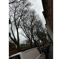 SAARLANDSTRASSENVIERTEL 2,5 Zimmer Möbliert Kernsaniert zum 15.12 - Dortmund Innenstadt Ost